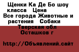 Щенки Ка Де Бо шоу класса › Цена ­ 60 000 - Все города Животные и растения » Собаки   . Тверская обл.,Осташков г.